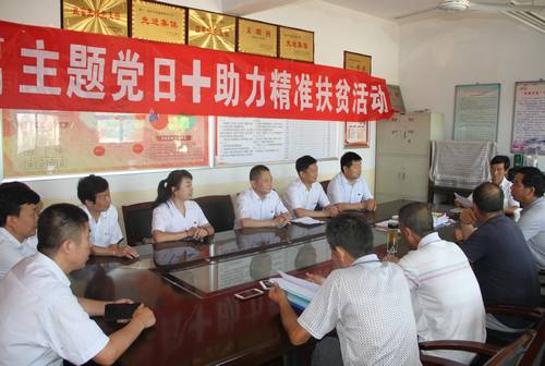 铜煤公司开展“主题党日+助力精准扶贫”活动