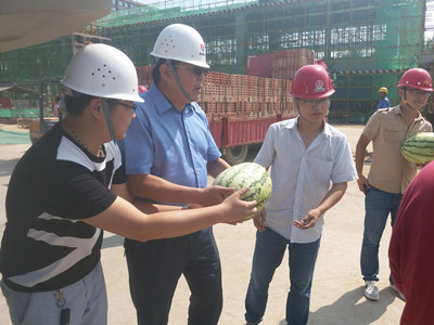 夏日暑正盛     清凉风自扬