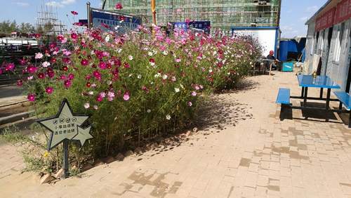 澄合分公司第十二项目部“花园式工地”赢赞誉