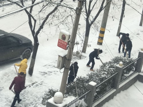 义务扫雪除冰 党员干部在行动