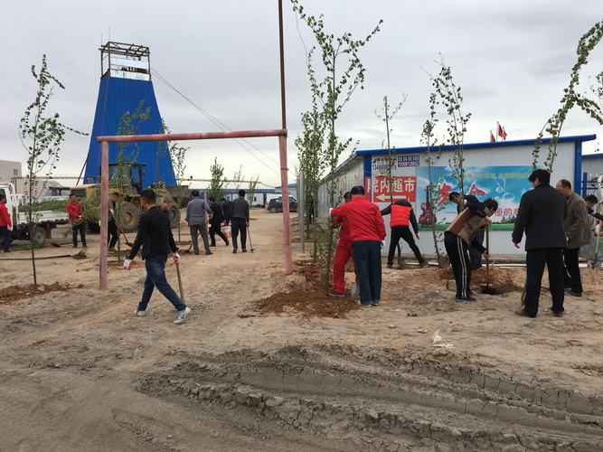 我为沙漠添点绿