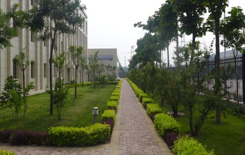 陕西绿宇园林公司：全员齐奏“追赶超越”主旋律