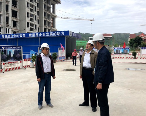 司正林深入大秦置业公司江南世纪城项目检查指导安全工作