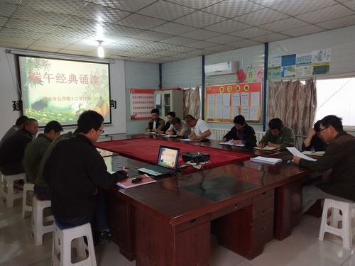 浓情端午 尽情放“粽”