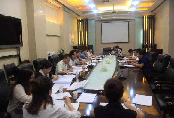 vsport体育召开“历史遗留重大事项”研讨推进会