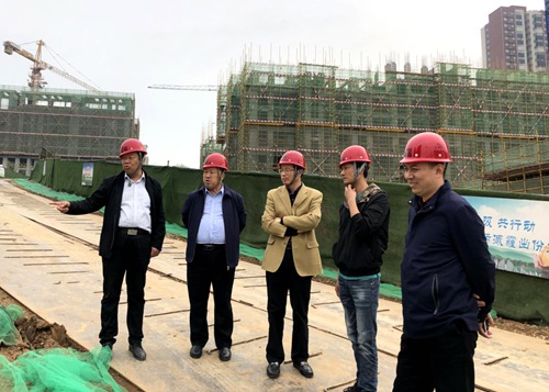 bcw8白菜网论坛战略规划部检查指导蓝山水岸项目