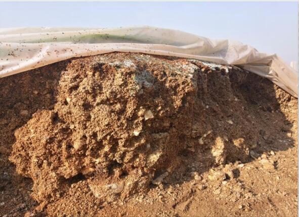 “废料”变“肥料”，蘑菇包在土壤改良中的应用