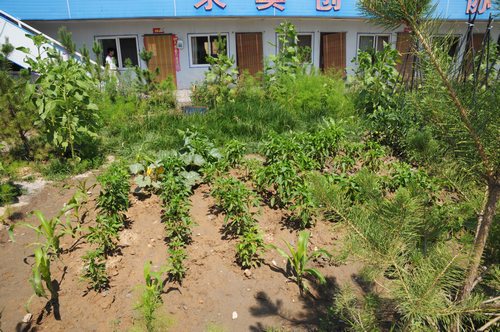 陕煤建设掘进公司：北翼项目部走出一条绿色发展路