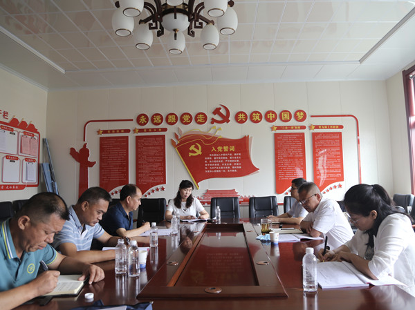 陕煤建设机电安装公司召开党支部标准化建设督导推进会