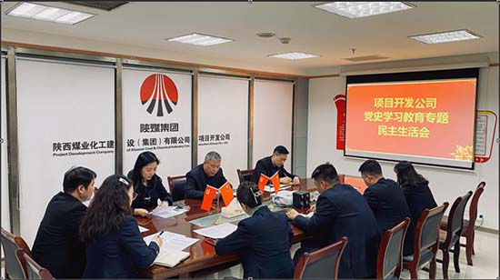 vsport体育项目开发公司召开党史学习教育民主生活会