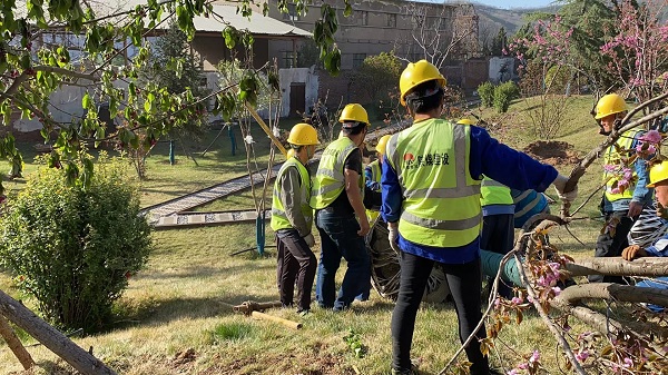 陕煤建设绿宇公司： 王石凹煤矿工业遗址春季添绿忙