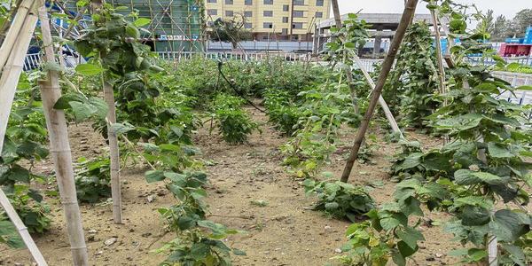 陕煤建设内蒙古分公司第二项目部：一分耕耘“三分”收获