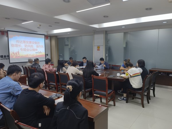 陕煤建设各单位传达落实建设集团稳增长、防风险、强作风工作部署会议精神