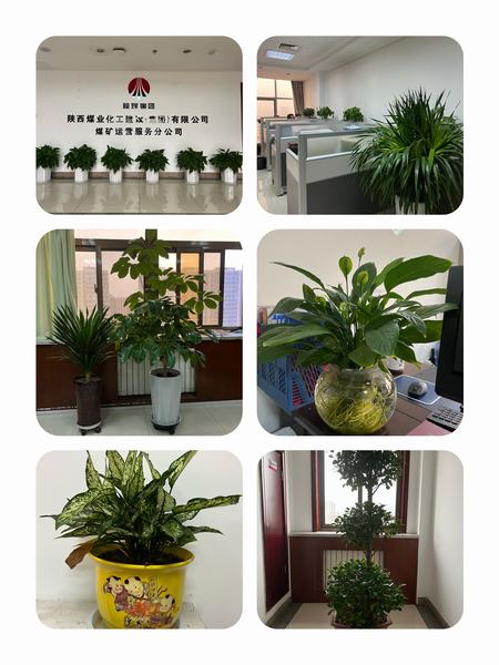 陕煤建设煤矿运营服务公司:职工之事无小事