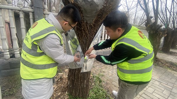 陕煤建设路桥分公司渭南项目部开展“绿色修复,生态共赢”别样植树节活动