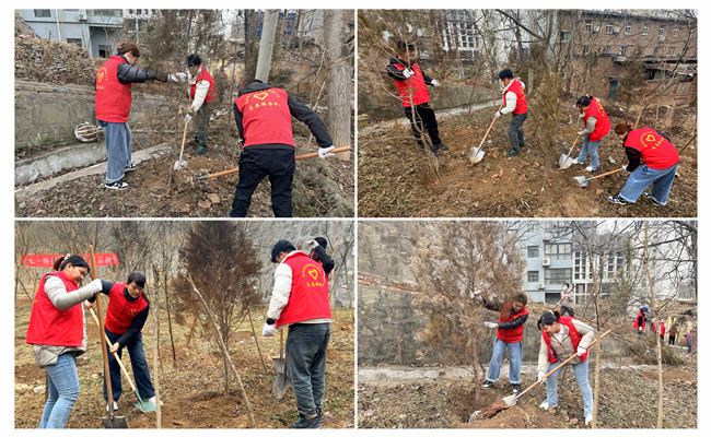 陕煤建设机电安装公司:走,上春山,植树去!