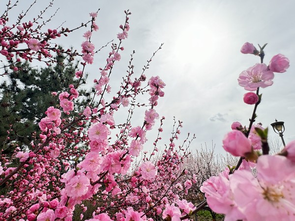 与“春天”来一场镂空邂逅
