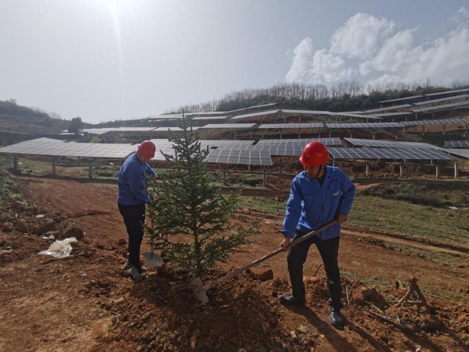 陕煤建设西北分公司机电安装项目部: 全员参与,共筑绿色屏障