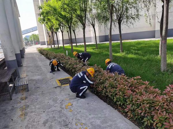 陕煤建设洗选煤运营公司神渭蒲城运营项目部:逐”绿”而行 向”绿”而兴!厂区绿化在行动