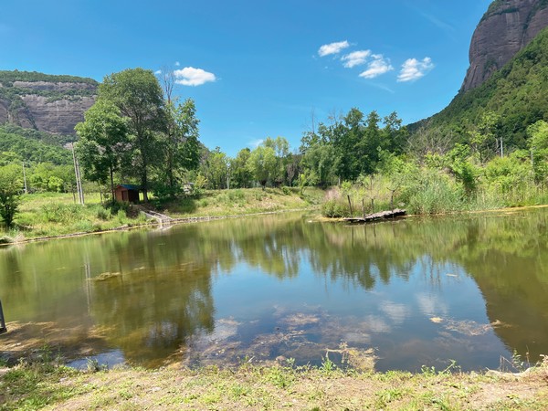 春天再见，夏天你好