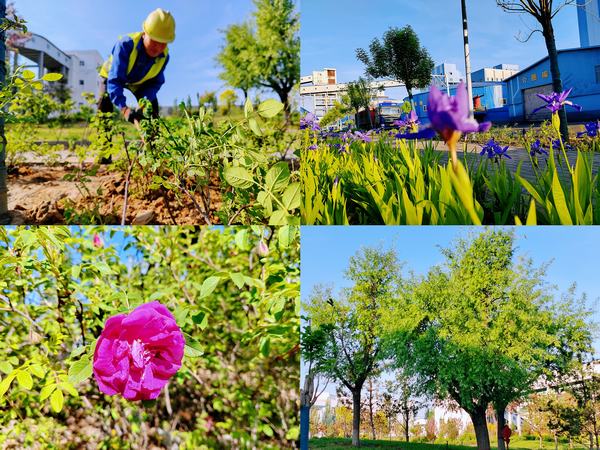 陕煤建设洗选煤运营公司红柳林洗煤厂项目部：强化绿色三大支柱  筑牢绿色生态屏障