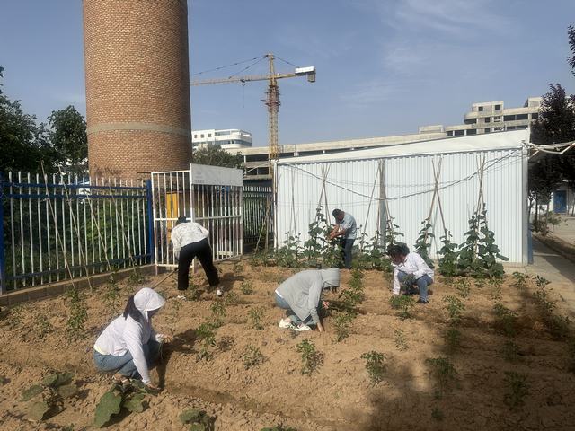 陕煤建设韩城分公司土建六项目部:打造美丽的“花园”角落