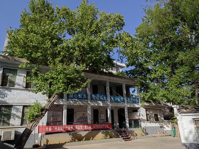 工作之地的四季之美与时光的故事