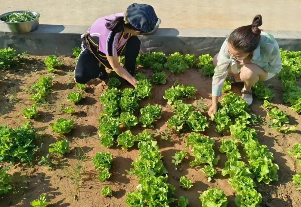 陕煤建设矿建三公司：项目菜园子“种”出职工幸福感