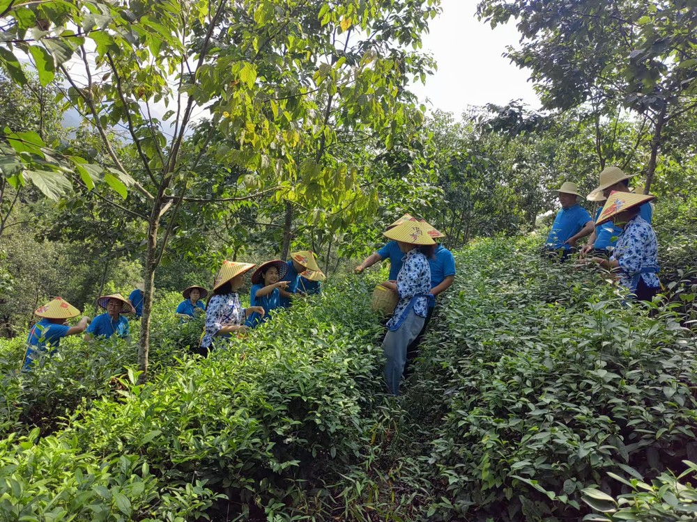 陕煤建设煤矿运营服务分公司:赴天池村开展主题党日活动