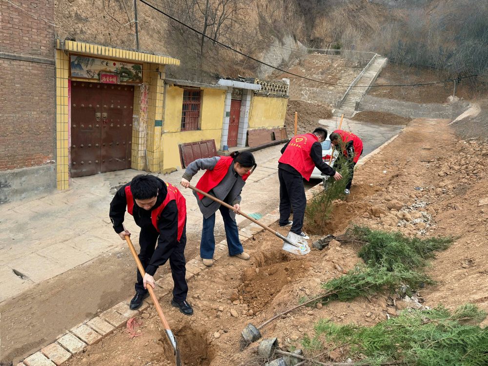 莳绿迎春 共赴春约