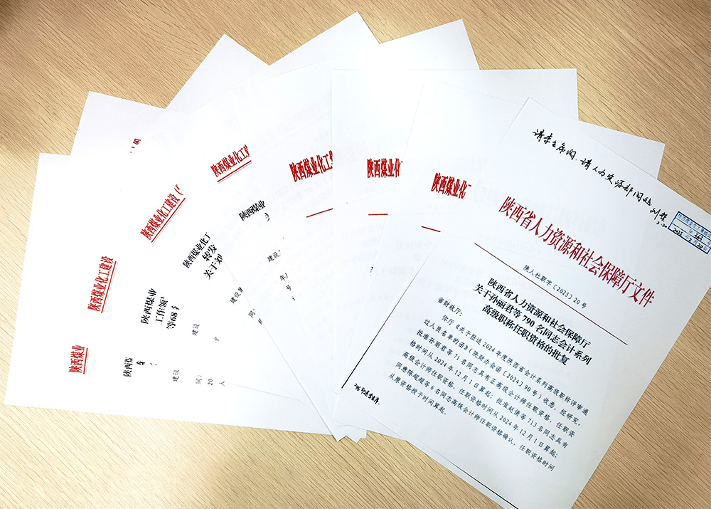 vsport体育职称晋升人数创历年新高