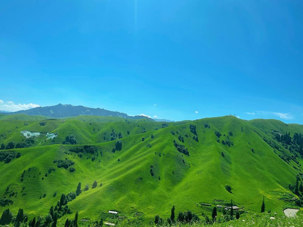 伊宁夏韵:工地之外的诗与远方