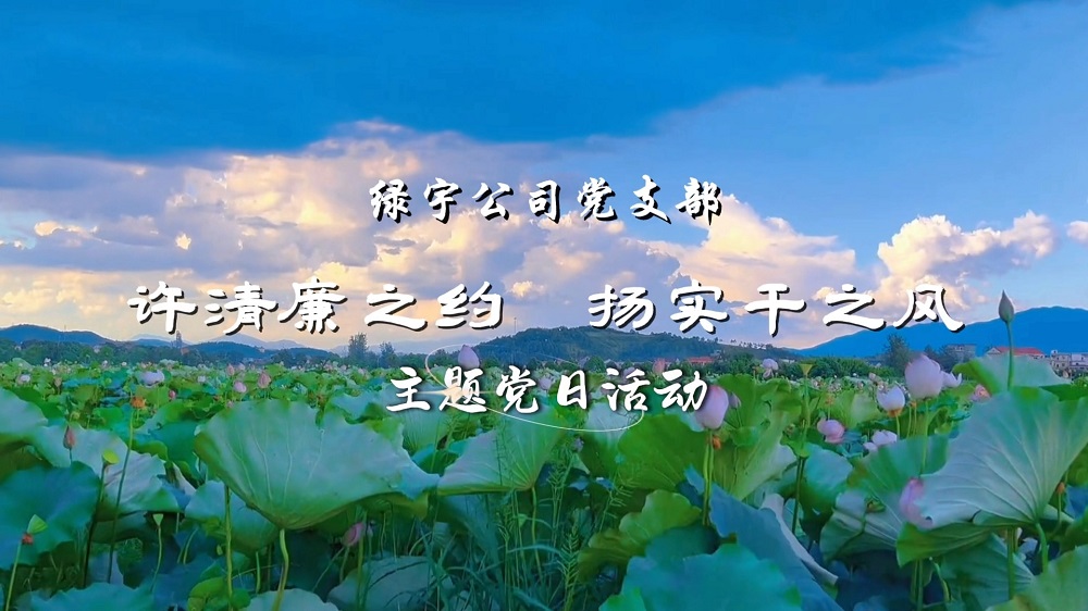许清廉之约 扬实干之风——绿宇公司党支部主题党日活动