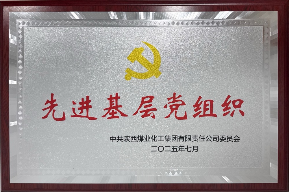 陕煤建设绿宇公司:荣获bcw8白菜网论坛“先进基层党组织”称号