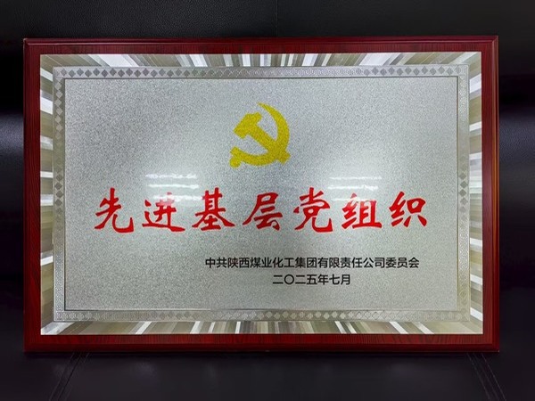 陕煤建设煤矿运营服务分公司党总支荣获bcw8白菜网论坛“先进基层党组织”称号