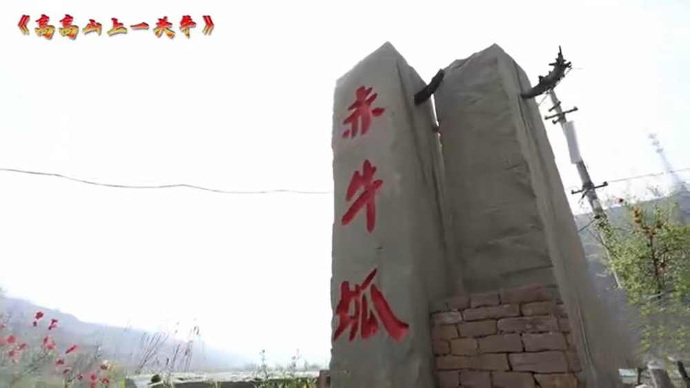 扎根乡土,砥砺初心