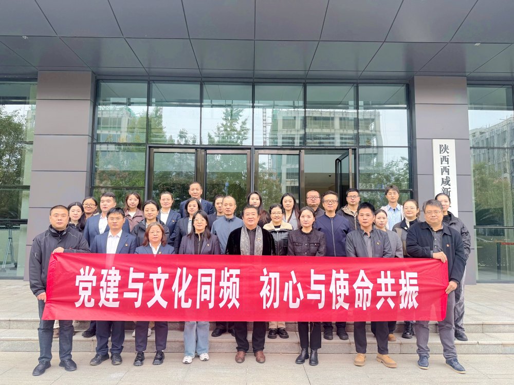 跨界联动！党建与文化在柴窑火韵中同频共振