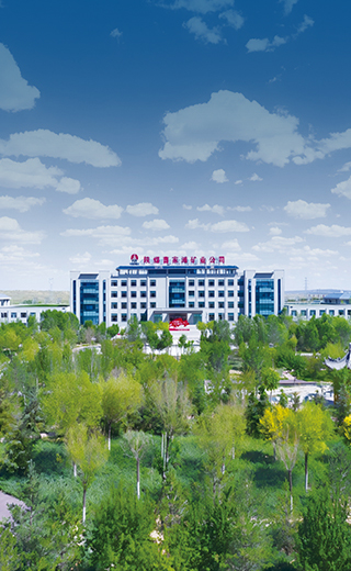 百富论坛手机版