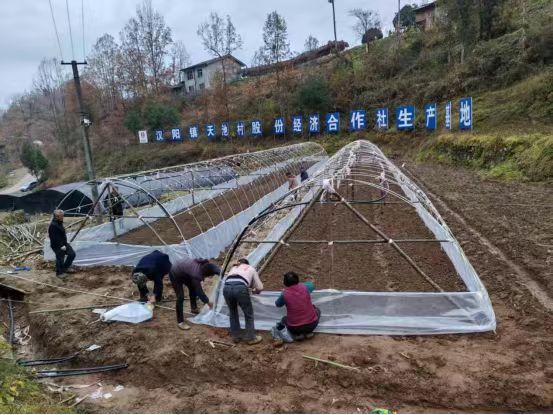 百富论坛手机版