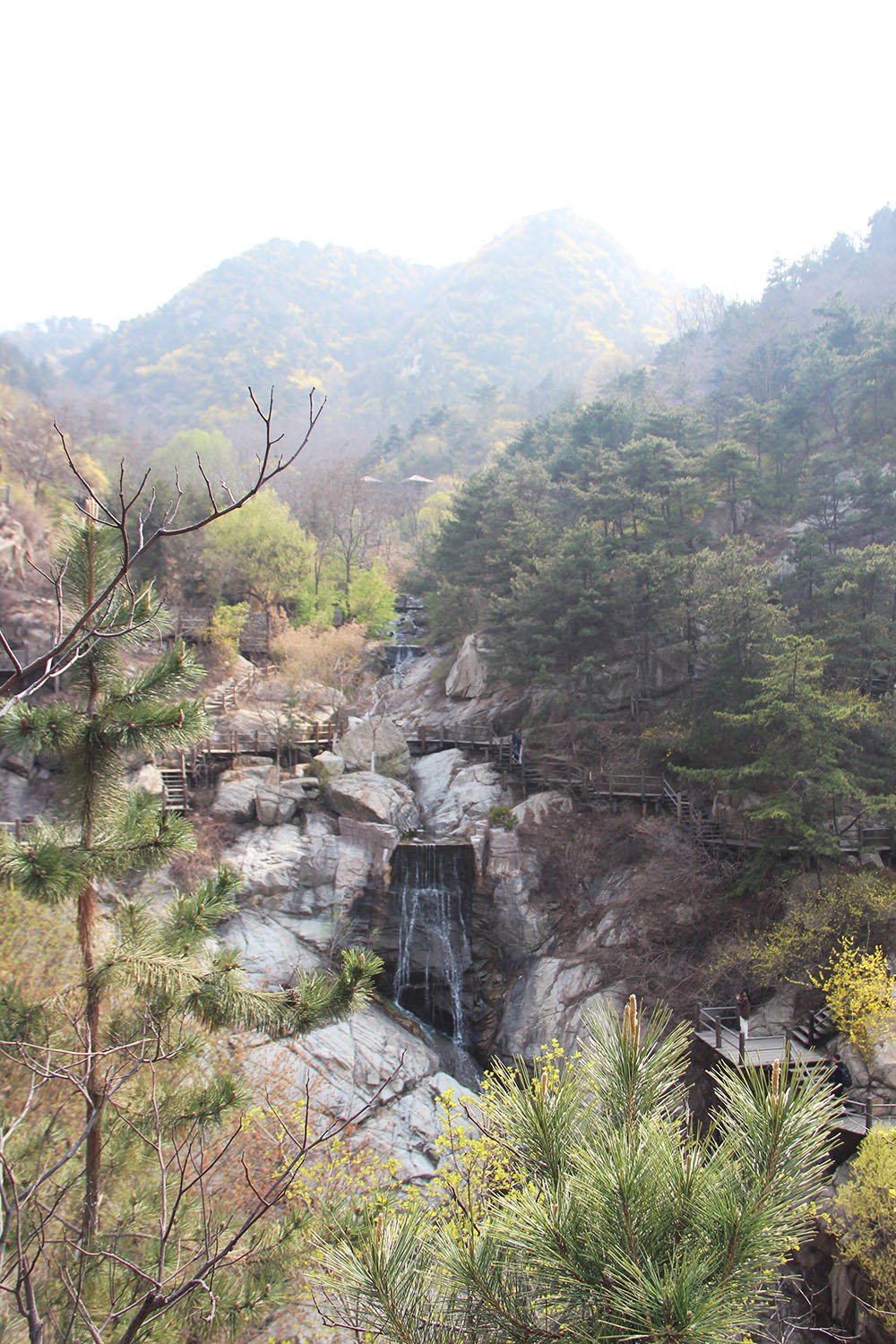2021，百富论坛手机版九如山一日游！